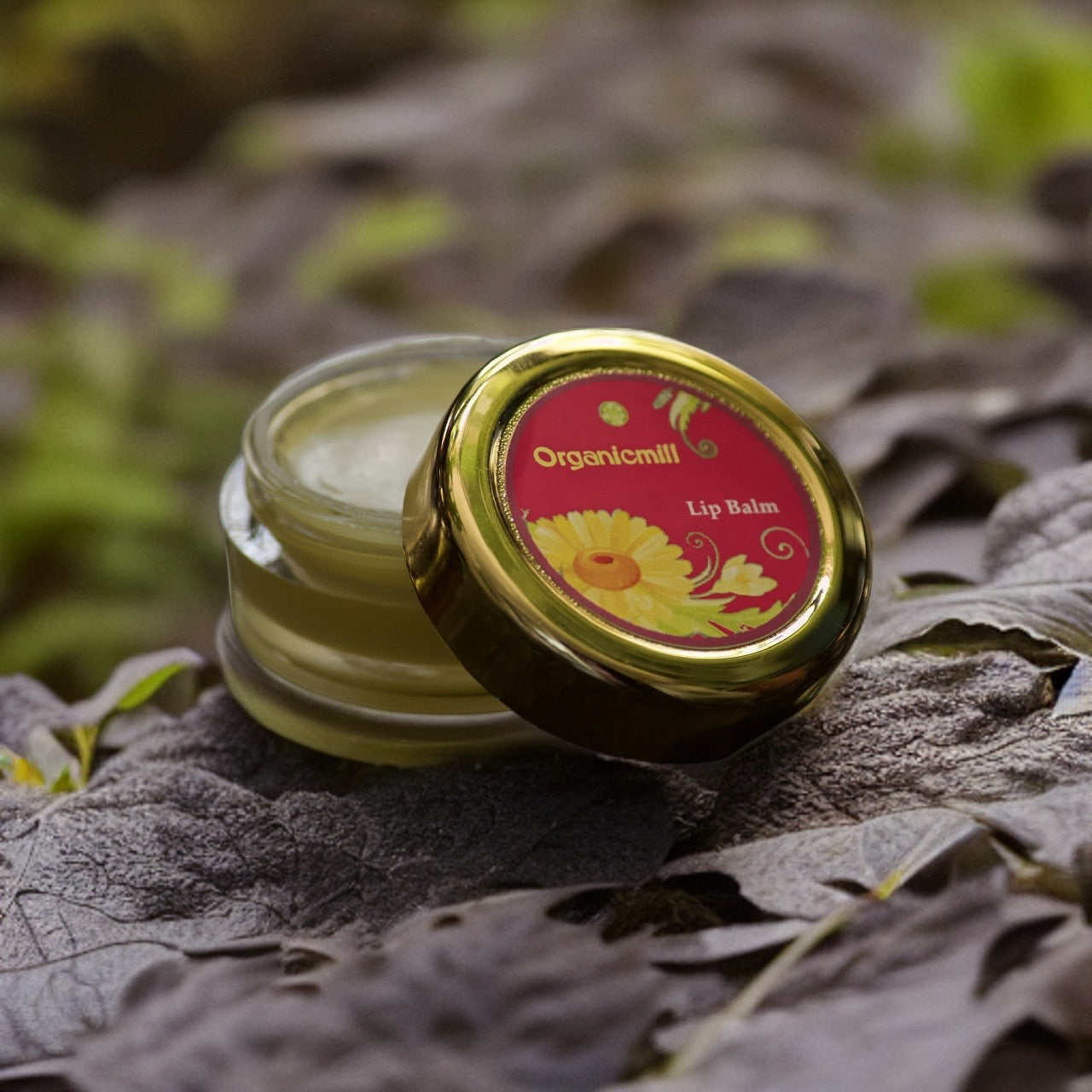 Lip Balm